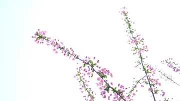 25845133-331E-4C82-800B-3353C44E1399/L0/001