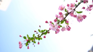 322D6559-9DB6-4273-81E1-59E9297452D6/L0/001