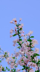 C65CC124-F2F4-44BF-AA83-B1BA780AE829/L0/001