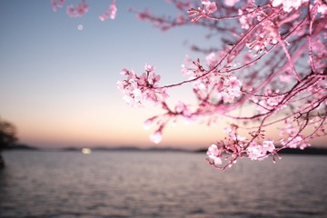 65AFB875-5C3C-44F5-8EFF-7B535C145E15/L0/001