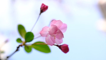6B634FAA-141B-439C-B045-52AB49F6B481/L0/001