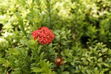 B9B6F448-B275-4BE2-9B08-043B8A878A45/L0/001