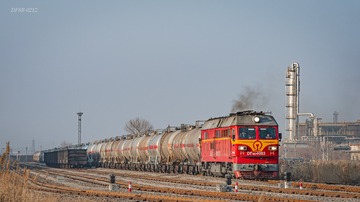1000195803