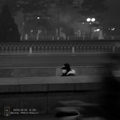 WHN12368xxsq