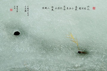 2012年人民摄影报刊登