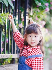 52586E84-0D79-4863-A0B5-B1C2BDD29C30/L0/001
