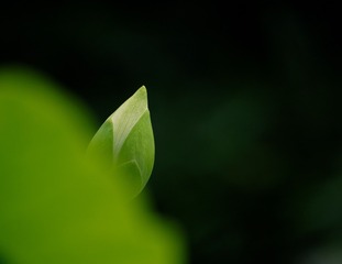 0620757E-4C3A-47A8-AA55-86D198CD59E4/L0/001