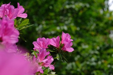 641CD6A9-19EB-47B2-87BD-FF8FFE1FE541/L0/001
