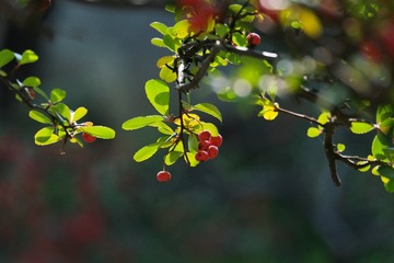 A0B163E6-D139-4D6C-AAE3-90B1E7335B5B/L0/001