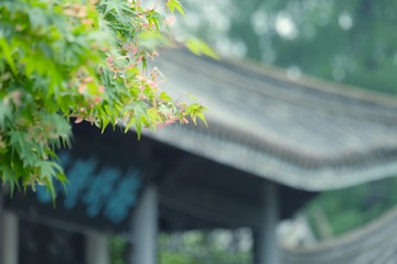 A7D5703E-1D75-413E-BE26-C6423ECC8A0D/L0/001