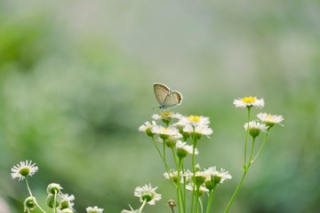 586F0EFC-DC7A-446C-98DB-C8046B896C45/L0/001