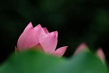 5D1C76C3-9397-42C0-9BF4-06469CA21997/L0/001
