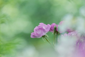 E55C5F78-D9B6-4C1F-AB42-84B6BD08F7E0/L0/001