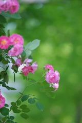 B8972533-8763-4C9F-8BEF-8899081922B0/L0/001