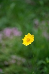71A10003-5FFB-4F68-B6C6-2F4C3A6CD1D8/L0/001