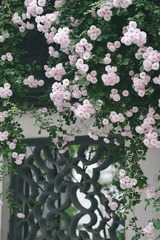 19635A37-9454-4EAD-A35E-7897720FB086/L0/001