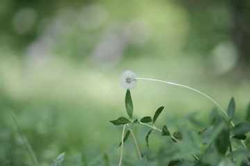 55C93F25-A42E-4B16-BA3E-84EF8965B2BA/L0/001