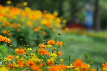 6F26B7AF-DD6E-41F7-B513-3D1F3E28B5AE/L0/001