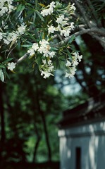 921A429D-8379-43F5-950F-1DF1CBFBAAFC/L0/001