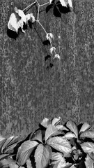 E8643A59-CD43-41F1-9139-7E0FD2FD9226/L0/001
