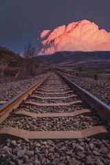 1000012264