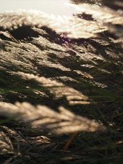 830B9C84-530F-4B7C-A506-4084F6D22AA7/L0/001