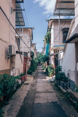 629A6395