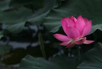 380417
