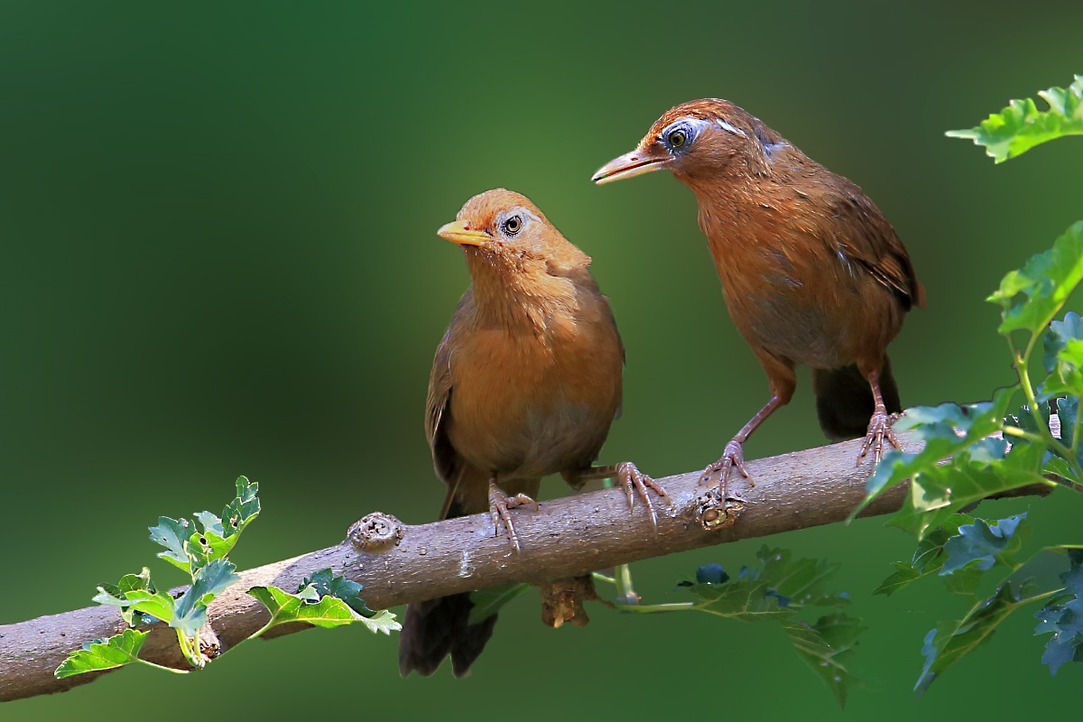 释然依然 - 图虫摄影网