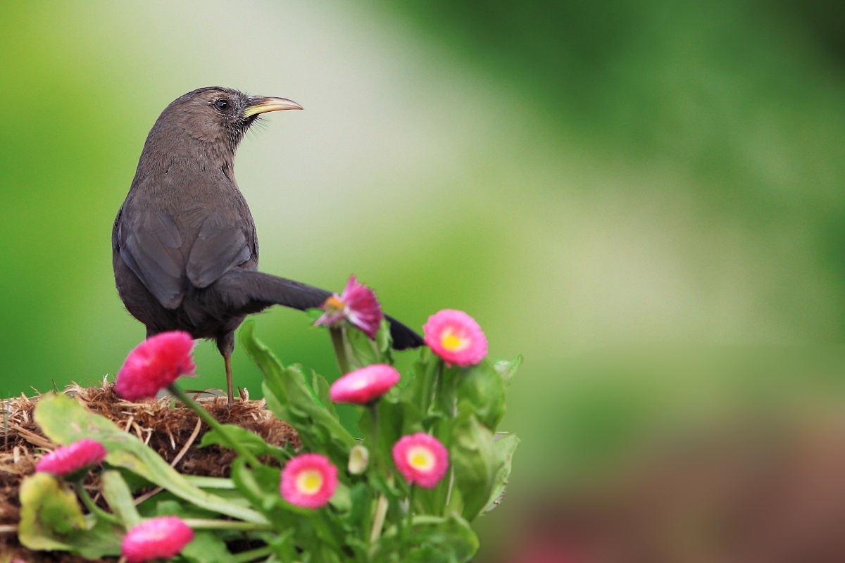 释然依然 - 图虫摄影网