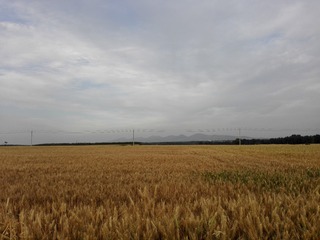 680898