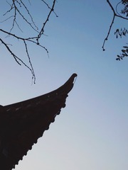 55143110-D0D8-4E1F-AD30-D3E1E0D66AA2/L0/001