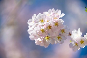 50B3A009-A68E-464E-80B8-CA715DD60E9E/L0/001