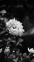 32195D35-DBD7-40B6-94E1-3C020AA5DF47/L0/001