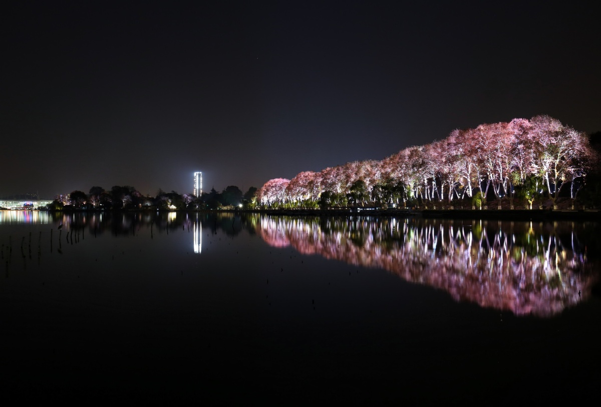 南京玄武湖公园夜景