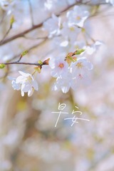09EF3EF3-494E-4E1D-9311-DA09AD79DFBA/L0/001