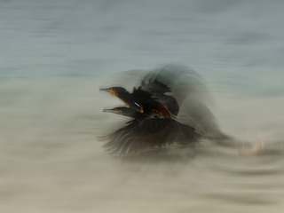 324263