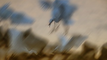 321864