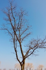 A4B571F9-8068-4B2E-86CD-4D162DC4AAAC/L0/001