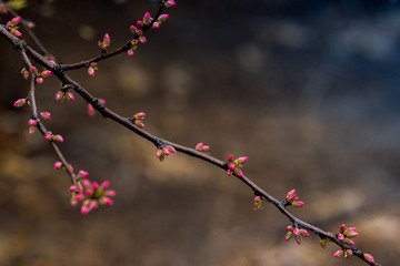 955664