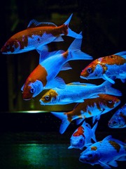 B3B95CDF-F844-4119-8439-4C923BA21F1E/L0/001
