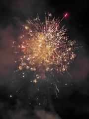 89A4D25C-8692-4BC7-8D88-A7FF68FD7E86/L0/001