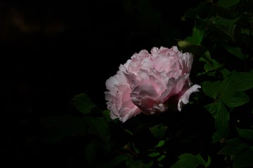 353B1CF2-B11F-42BE-BA98-C352342E5810/L0/001