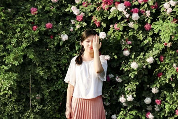 小蔷薇