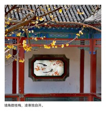 2009242