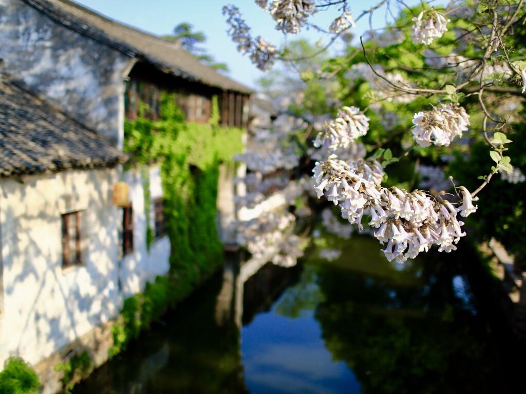 周庄古镇