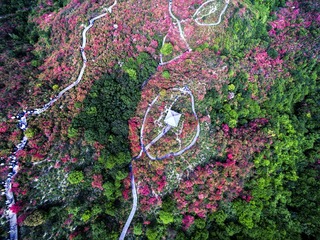 DJI_0017a