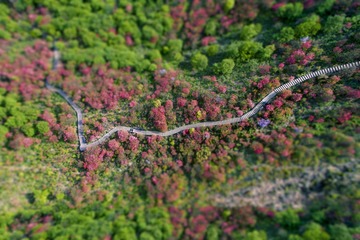 DJI_0008c