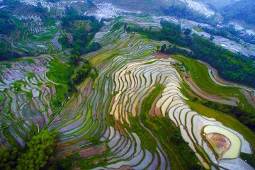 DJI_0069b