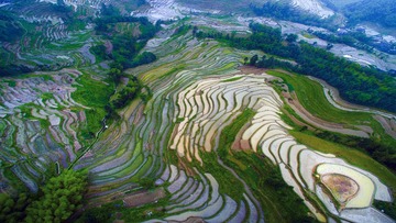 DJI_0069a